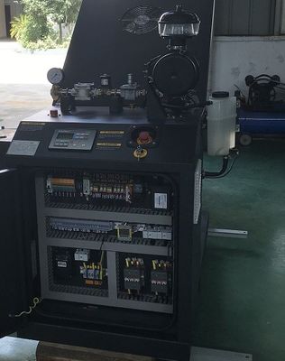 Un buon prezzo. Del motore GPL micro GPL cogenerazione raffreddata ad acqua di CHP Cogenerator 12KW 15KW in linea