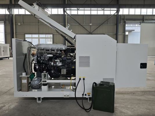 Un buon prezzo. Emissioni basse silenziose eccellenti diesel 20KW 25KVA di CHP del micro generatore in linea