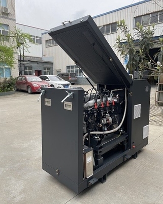Un buon prezzo. Il CE di alta efficienza ha approvato il micro CHP Mini Cogenerator Set Unit System 16kw 20kva del biogas in linea