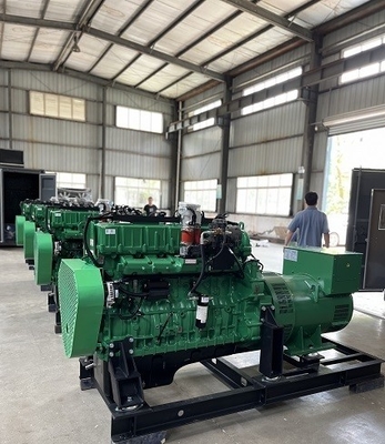 Un buon prezzo. Gruppo elettrogeno elettrico alimentato a gas naturale di sostegno industriale di emergenza 250KW 300KVA in linea