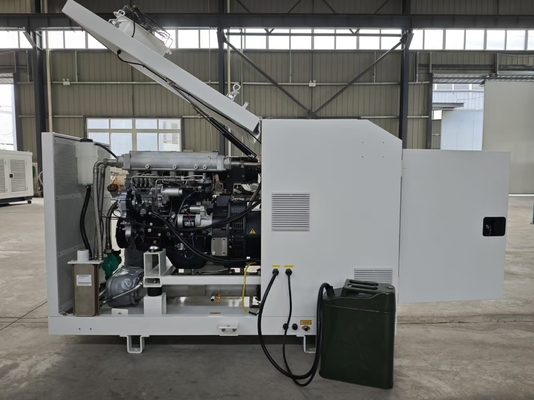 Un buon prezzo. Emissioni basse silenziose eccellenti diesel 20KW 25KVA di CHP del micro generatore in linea