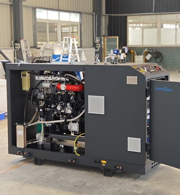 Un buon prezzo. 20kw 25kva gas naturale metano propano LPG Micro CHP sistema per la casa Hotel Office ComAp Controller in linea