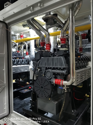Un buon prezzo. 250KW 300KVA 500KW 625KVA 600KVA 1MW 1000KW Generatore Deutz a gas naturale LNG CNG Set per contenitori a prova di pioggia all'aperto in linea