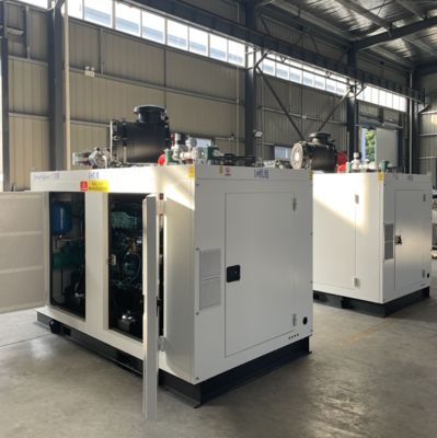 Un buon prezzo. 200KW 250KVA 50Hz Gas naturale Cogen Alta efficienza complessiva con controllo automatico in linea