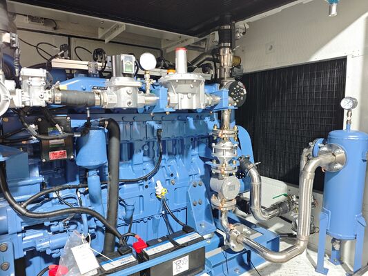 Un buon prezzo. Gruppo elettrogeno a gas naturale Yuchai da 400kw in container insonorizzato e antipioggia in linea