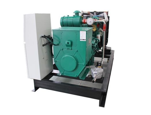 Un buon prezzo. 50HZ 230V resistente alle intemperie Biogas CHP, Biogas Combustibile CHP Calore E Potenza BHKW 25KW 30KVA in linea