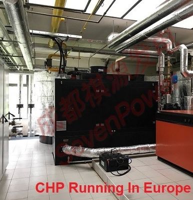 Un buon prezzo. Generatore continuo del gas naturale di 50Hz 100KW in linea