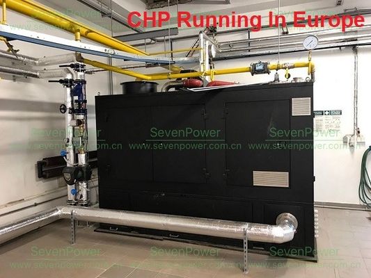 Un buon prezzo. Generatore silenzioso rispettoso dell'ambiente del gas naturale di 250KW 300KVA in linea
